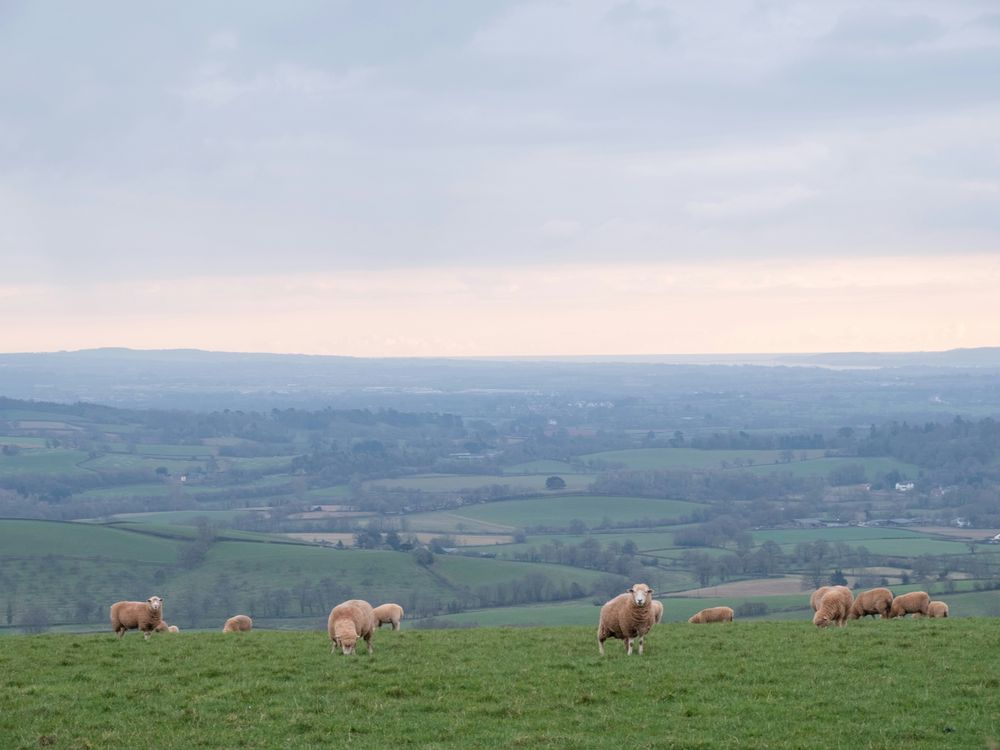 veronica-white-OYdPD5q-6OY-unsplash