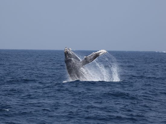 signed-url-redirect (11)