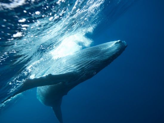 signed-url-redirect (13)