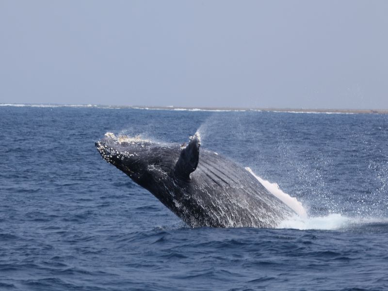 signed-url-redirect (9)