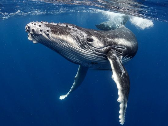 signed-url-redirect (12)