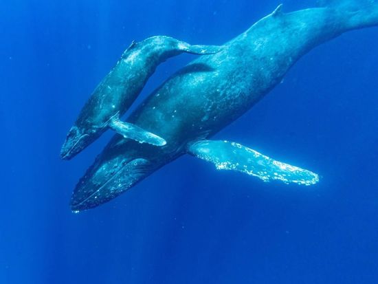 signed-url-redirect (10)