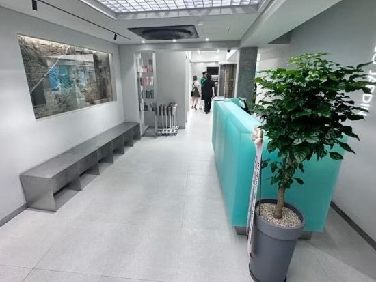 ECO JARDIN「エコジャルダン」明洞店　外国人向けサロンで18ステップヘッドスパ＆スタイリング体験！＜英語対応可／明洞駅徒歩5分＞