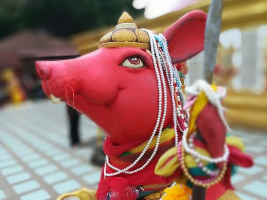 ワットサマーン_ピンクガネーシャ敷地内3