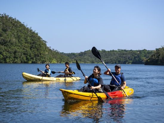 【秘境ツアー】カヌーで行くシャワークライミングツアー！やんばるの森で楽しむ非日常の川遊び体験＜10歳～／約3時間／4～10月／東村＞