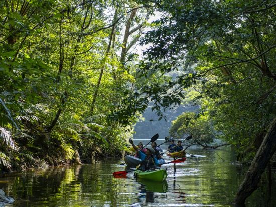 【秘境ツアー】カヌーで行くシャワークライミングツアー！やんばるの森で楽しむ非日常の川遊び体験＜10歳～／約3時間／4～10月／東村＞
