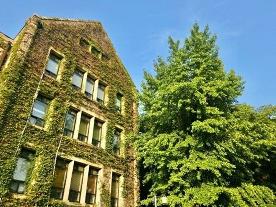 200014443_base_17606699662275