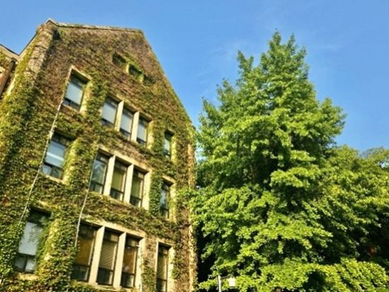 ソウル学生街巡り！延世大学校＆弘大散策ツアー　韓国ドラマのロケ地としても有名な大学で即席トッポッキのランチ込＜午前／日本語ガイド＞