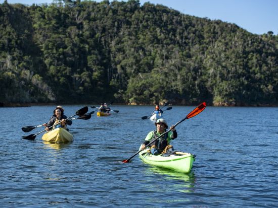 【秘境ツアー】カヌーで行く森のトレッキングツアー！やんばるの絶景と貴重な動植物を見て触れる＜10歳～／約5時間／10～5月／東村＞