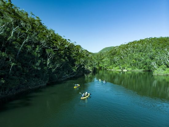 【秘境ツアー】カヌーで行く森のトレッキングツアー！やんばるの絶景と貴重な動植物を見て触れる＜10歳～／約5時間／10～5月／東村＞