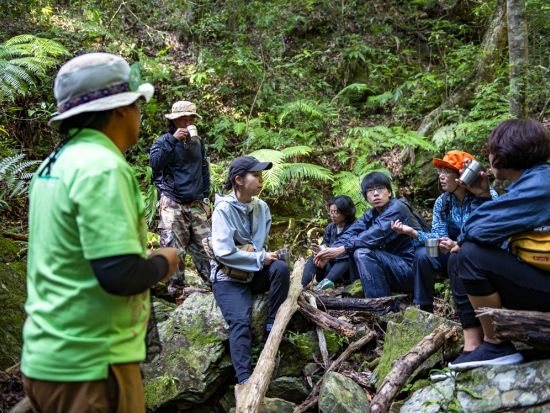 【秘境ツアー】カヌーで行く森のトレッキングツアー！やんばるの絶景と貴重な動植物を見て触れる＜10歳～／約5時間／10～5月／東村＞