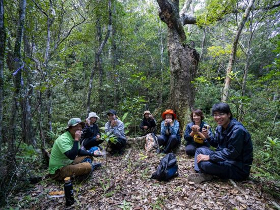 【秘境ツアー】カヌーで行く森のトレッキングツアー！やんばるの絶景と貴重な動植物を見て触れる＜10歳～／約5時間／10～5月／東村＞