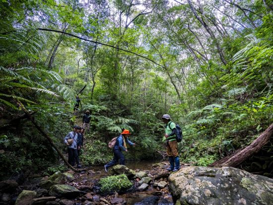 【秘境ツアー】カヌーで行く森のトレッキングツアー！やんばるの絶景と貴重な動植物を見て触れる＜10歳～／約5時間／10～5月／東村＞