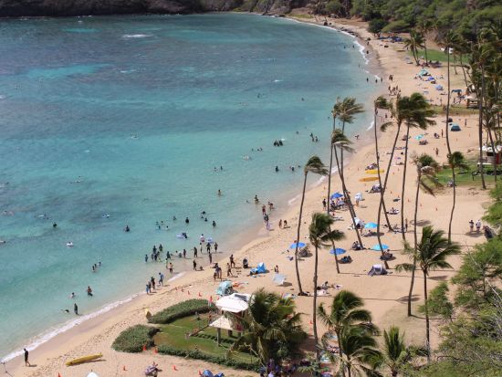 ハナウマ湾送迎ツアー　ハナウマ湾の入場料込み！＜英語ドライバー／ワイキキエリア送迎付き＞