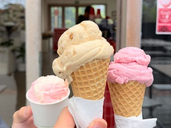 北オークランドの魅力満載ツアー・地元民も愛するビレッジ「マタカナ」と人気スポット巡り＜日本語ガイド／オークランド発＞