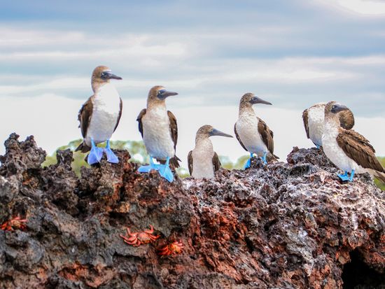 AdobeStock_488002125