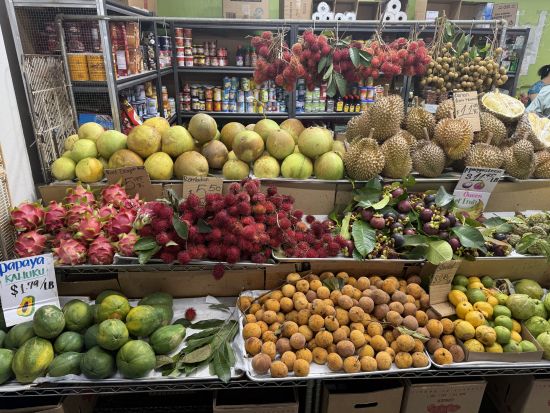 チャイナタウングルメツアー　ハワイの多様な食文化を体験！13～16種類の試食＆街歩きを楽しめる食べ歩きツアー＜ホノルル市内送迎付き＞