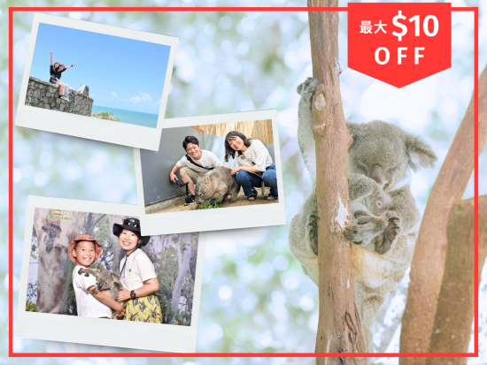 【日本人ガイド確約】ハートリーズ動物園 & 海の見える絶景スポットで写真付き！コアラと朝食付きなど選べるプラン♪＜日本語／ケアンズ発＞