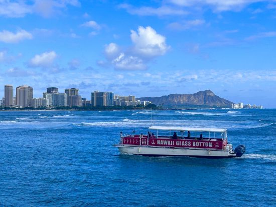 ワイキキ沖ボートクルーズ(1時間)＆ホノルル市内観光〈半日でハワイを満喫！/日本語ドライバーガイド〉