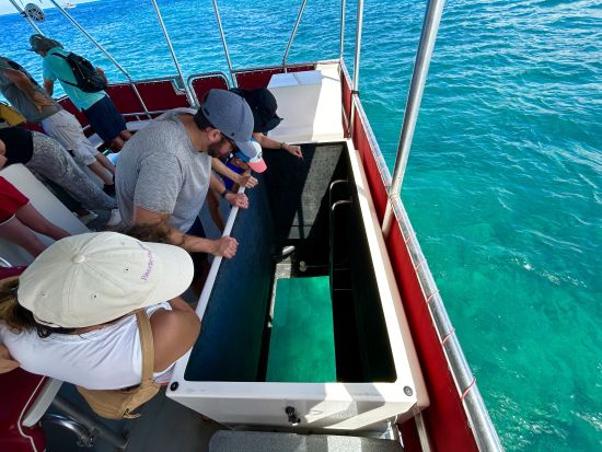 ワイキキ沖ボートクルーズ(1時間)＆ホノルル市内観光〈半日でハワイを満喫！/日本語ドライバーガイド〉