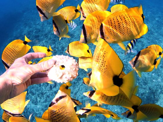 98170D78-5D63-42B7-A350-771EC8F8887D