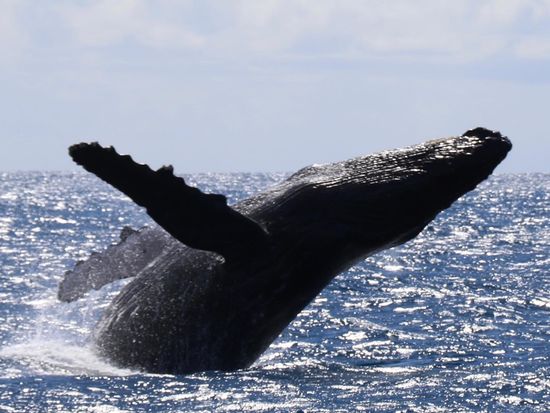 9CD68C03-178A-4E74-B743-43025506703F