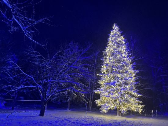 ビルケライトアップ4