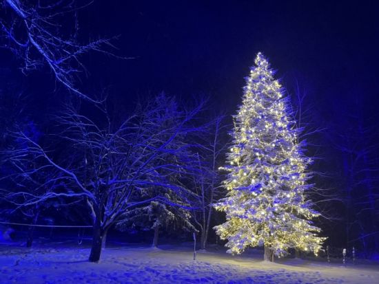 美瑛発半日観光バスツアー 冬のライトアップコース 青い池+白ひげの滝 ウィンターイルミネーションを堪能！＜11月14日～2月14日／美瑛駅（四季の情報館）発着＞