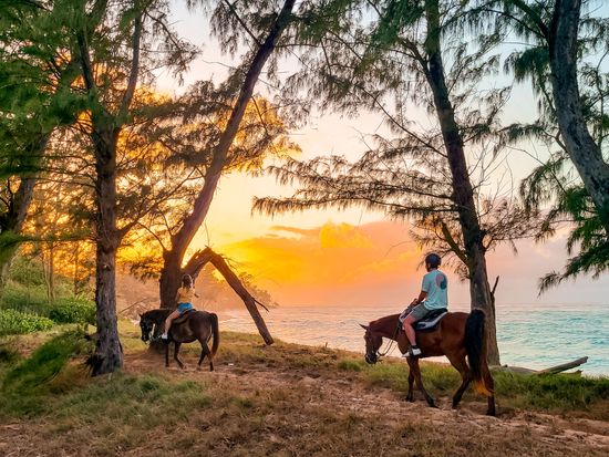 20250407_184217_Original