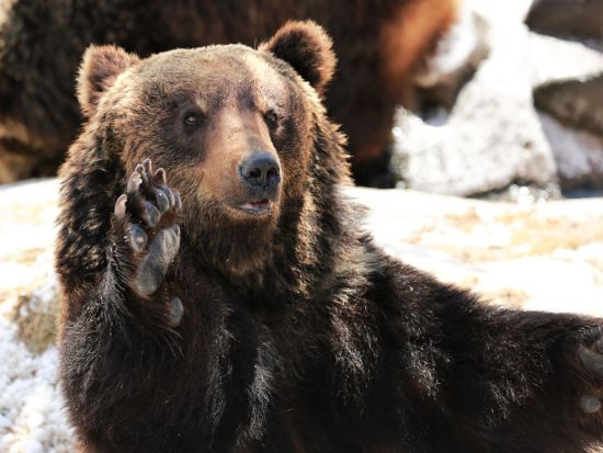 札幌発 洞爺湖＋登別地獄谷＋有珠山 日帰りバスツアー レークヒル・ファーム訪問＆フリータイムも充実＜札幌駅北口発着＞