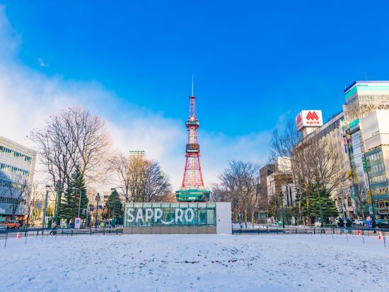 貸切観光タクシー アルファードでちょっと贅沢な札幌めぐり＜2～3時間／1～4名／札幌市内中心部送迎可＞