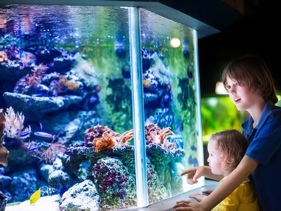 shutterstock_196099406