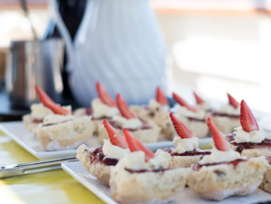 ブリスベン アフタヌーンリバークルーズ　カンガルーポイントや市内中心部などの名所を船上から満喫！＜サウスバンク発＞