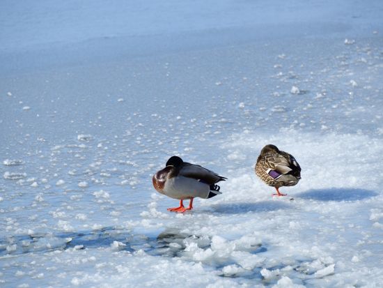 1組限定オーダーメイドツアー 100分間で自分の行きたいコースへガイドがご案内♪＜大沼国際交流プラザ集合＞