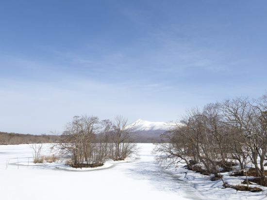 1組限定オーダーメイドツアー 100分間で自分の行きたいコースへガイドがご案内♪＜大沼国際交流プラザ集合＞