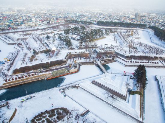函館 五稜郭タワー展望チケット事前予約　地上90mあら360度函館を一望！五稜郭の美しい五角形を眺めよう＜年中無休／函館＞