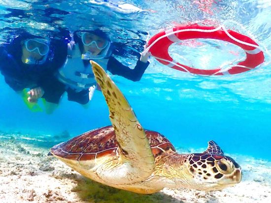 宮古島ウミガメシュノーケル 高確率で出会える◎透明な海で忘れられない思い出を作ろう！初心者・女性・ファミリー大歓迎＜写真・動画データ無料付き／約2時間＞