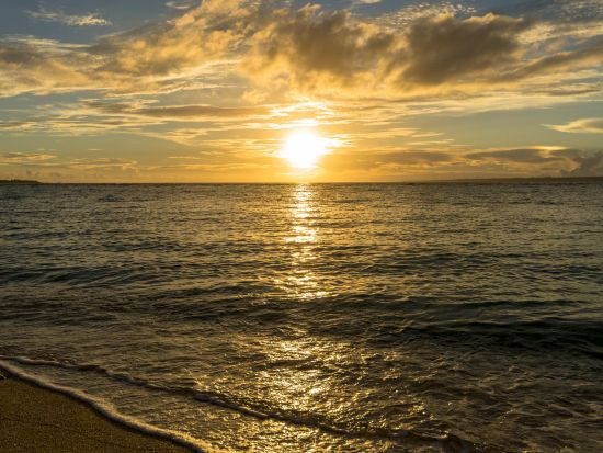 コオリナ地区送迎シャトルサービス　サンセット観賞にピッタリの夕方発プラン！コオリナでのフリータイムは約3時間♪＜英語または日本語ドライバー／ワイキキ発＞