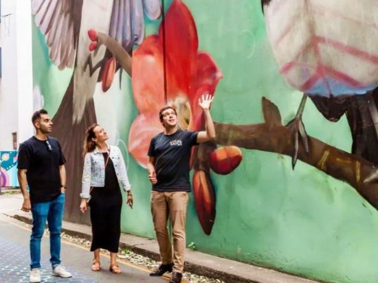 アート＆バーめぐり半日ツアー　ストリートアートと3軒のローカルバー散策で地元文化を満喫！アルコール1杯付き＜英語ガイド／ブリスベン発＞