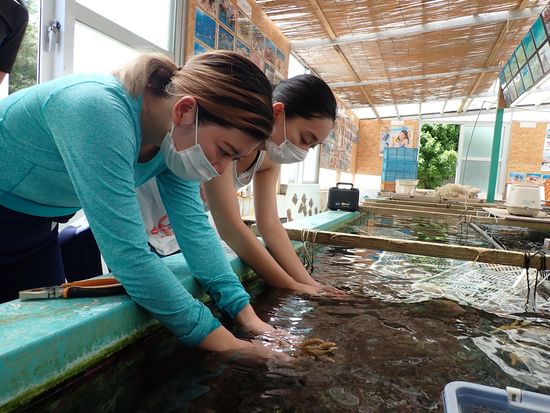 サンゴ苗作り07  編集