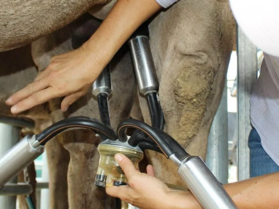 Screenshot 2025-10-10 181836