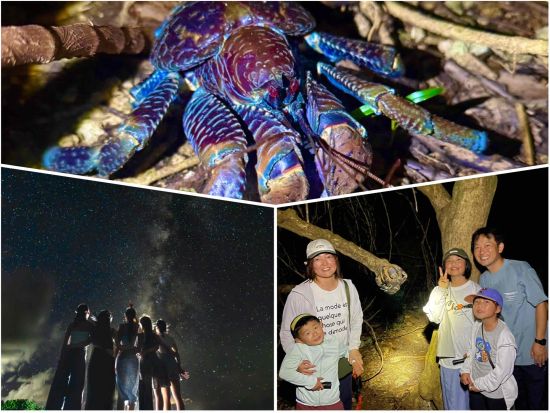 宮古島ナイトツアー 満天の星×南国生き物と出会うナイトジャングルツアー 星空観察とヤシガニを探そう◎＜写真・動画データ無料付き／約2時間＞