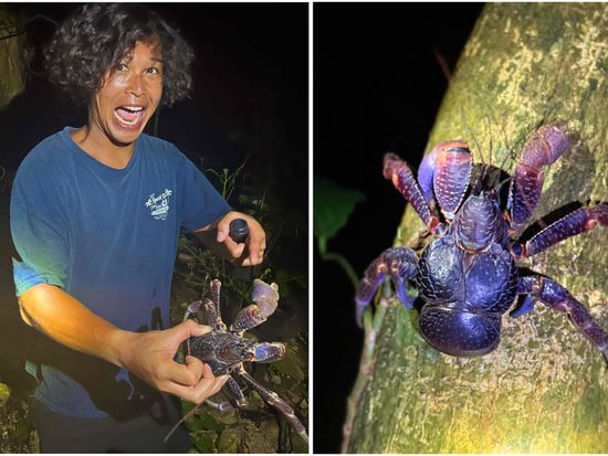 665BD2D0-65FE-4851-9F8D-809E1DD981BA