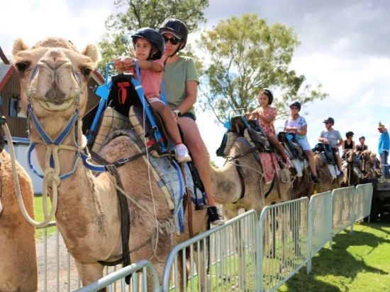 main-attraction-image