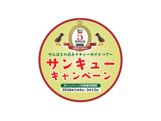【ゆいゆい国頭発】EVバス「やんばる黄金（くがに）号」で巡るエコツアー！やんばるの森をガイド付きでご案内 ＜ランチ付プランあり／4歳～OK／沖縄北部＞
