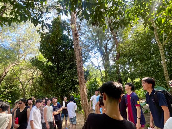 森海浴ツアー (24)