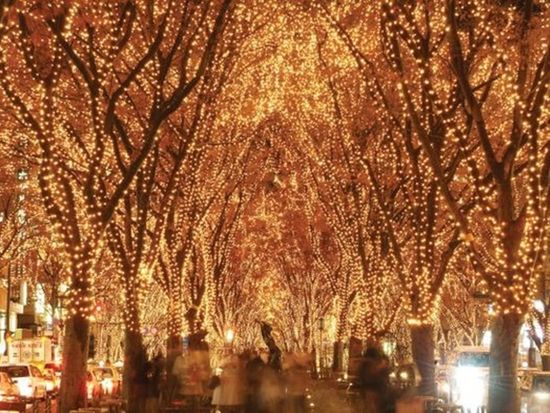 175df610-7a2d-4dd4-80ac-91b468d7