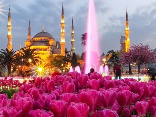 イスタンブール 3泊4日ツアー　アヤソフィア・モスク＆ブルーモスク＆ヒッポドロームなど ＜食事付き／日本語ガイド＞