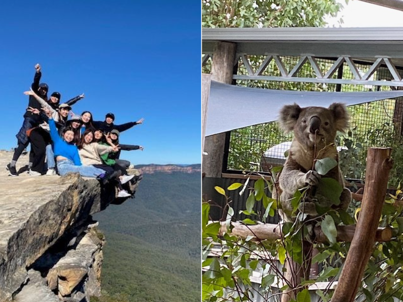 スクリーンショット 2025-11-12 184215