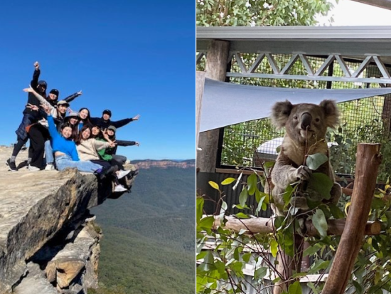 世界遺産ブルーマウンテンズ観光ツアー　キングステーブルランド＋ルーラ＋シドニー動物園などへご案内！by ジャックさんの楽しい日本語ツアー